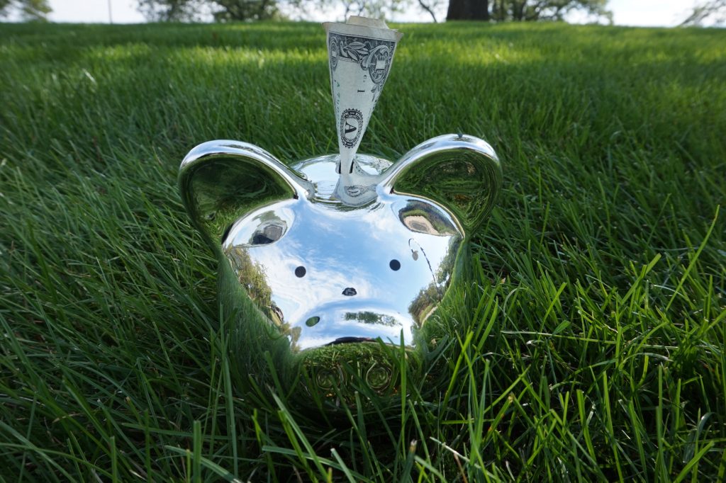 silver piggy bank in grass